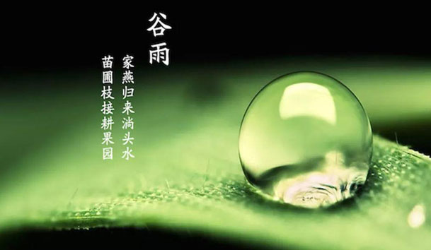 今日谷雨 | 谷得雨而生，夏天要醒了！(圖1)